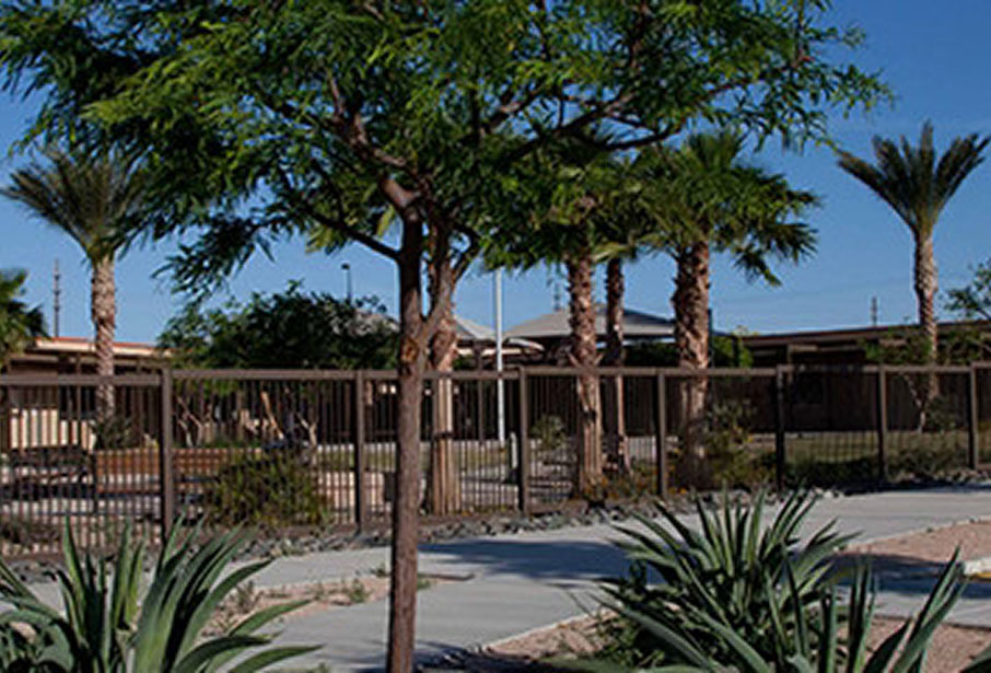 Mecca/Thermal campus courtyard with palm trees